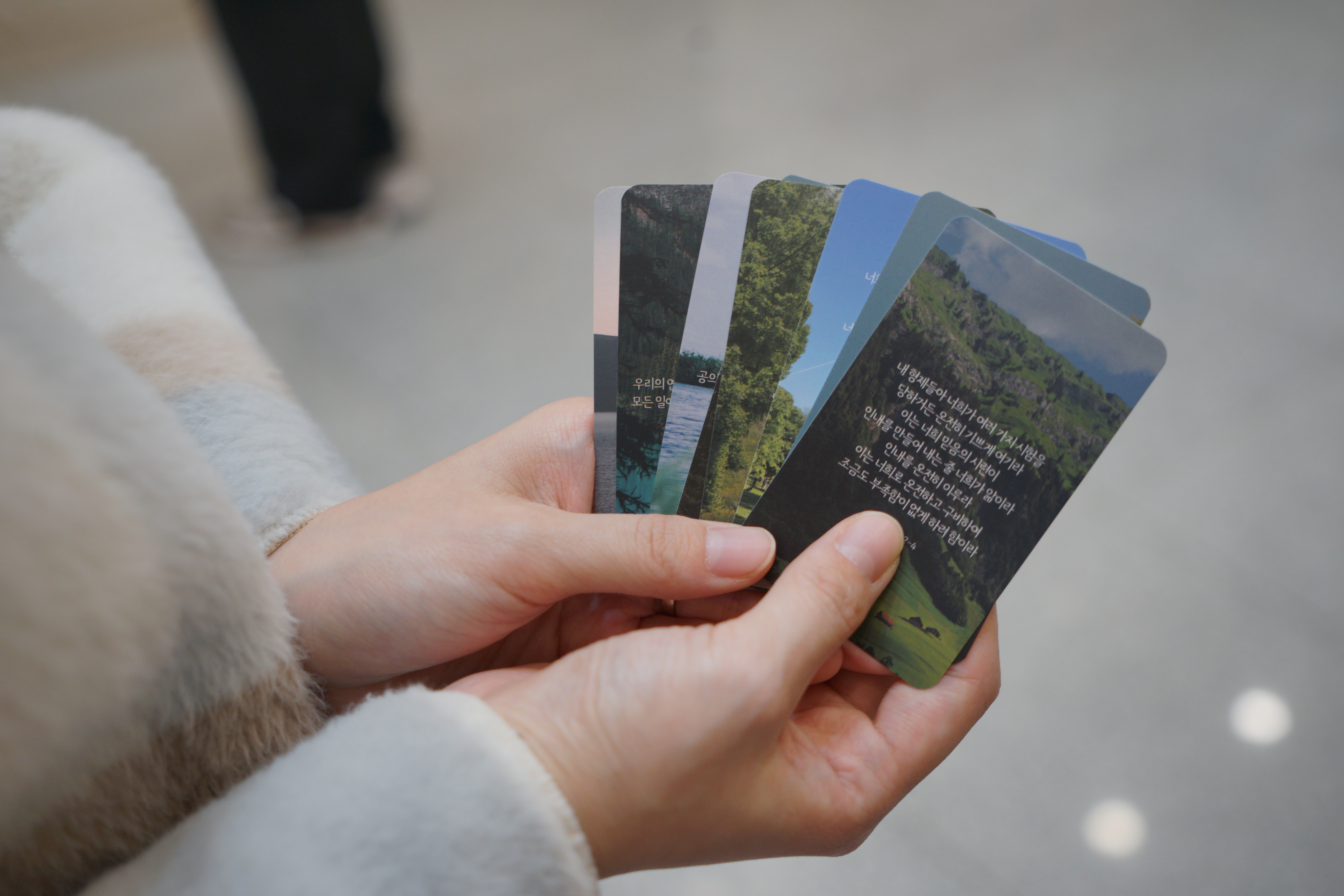 2tfty 공동체 사진 5